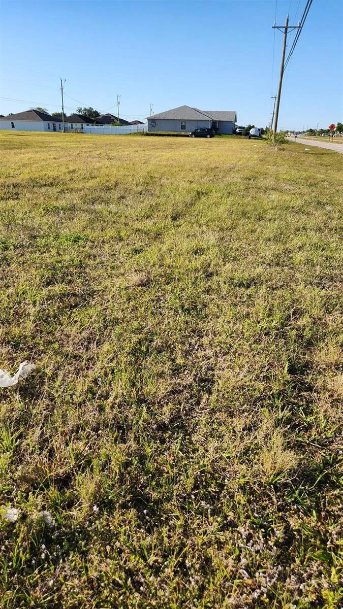 1724 Andalusia Boulevard Cape Coral, FL 33909