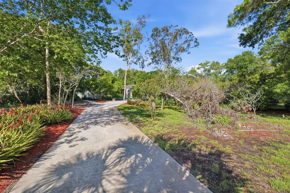 9116 LAKEVIEW DRIVE New Port Richey, FL 34654