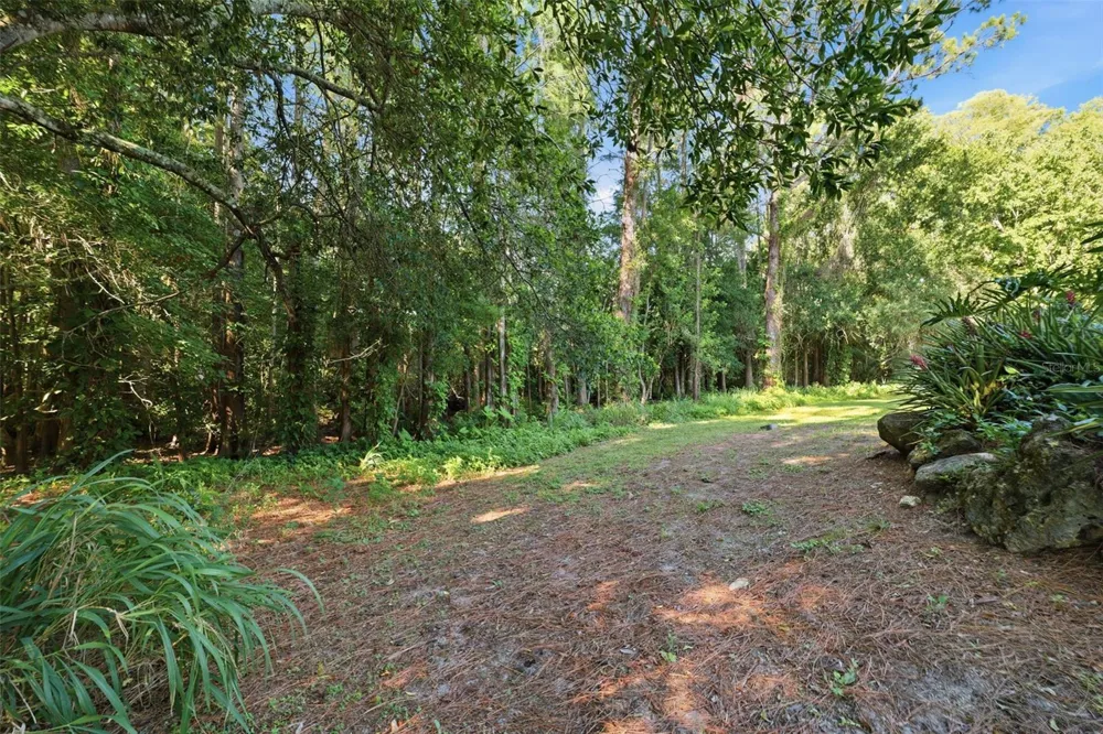 9116 LAKEVIEW DRIVE New Port Richey, FL 34654