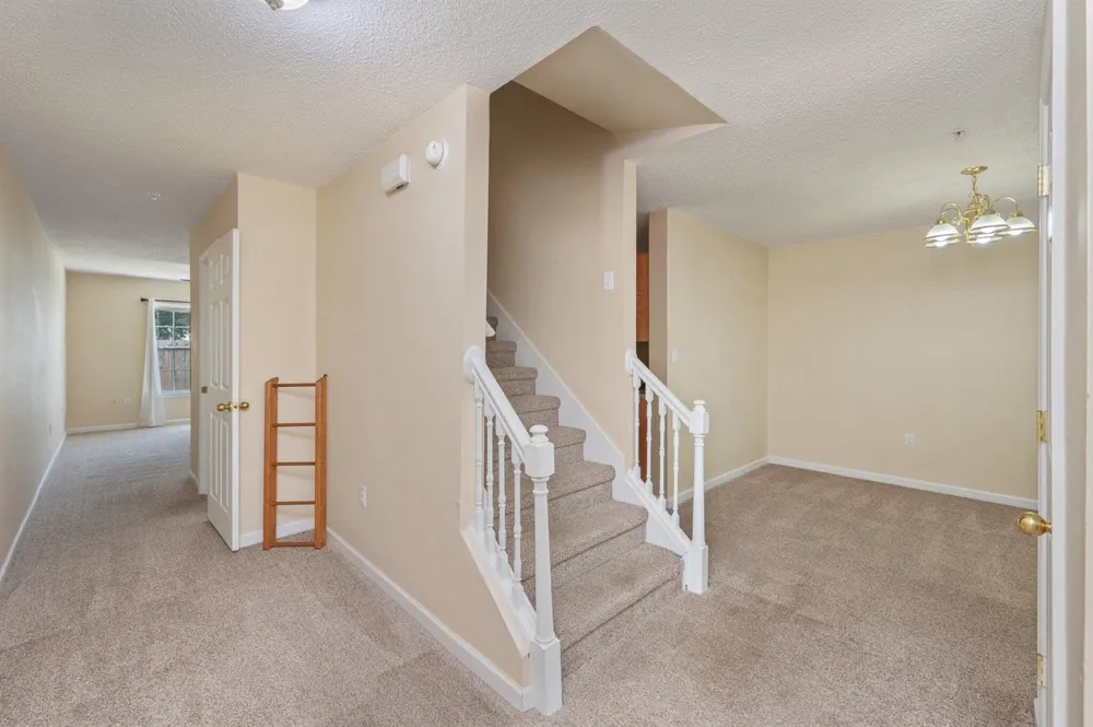 307 Crooked Pine Trail 