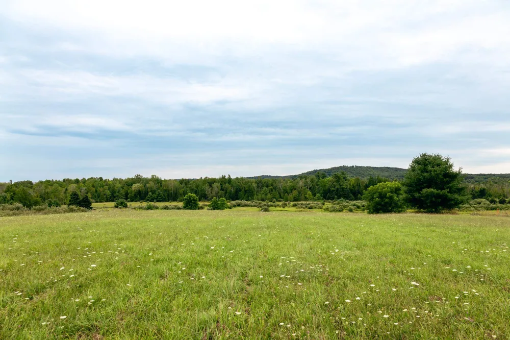 E Birch Point Road Elmwood Charter Township, MI 49684