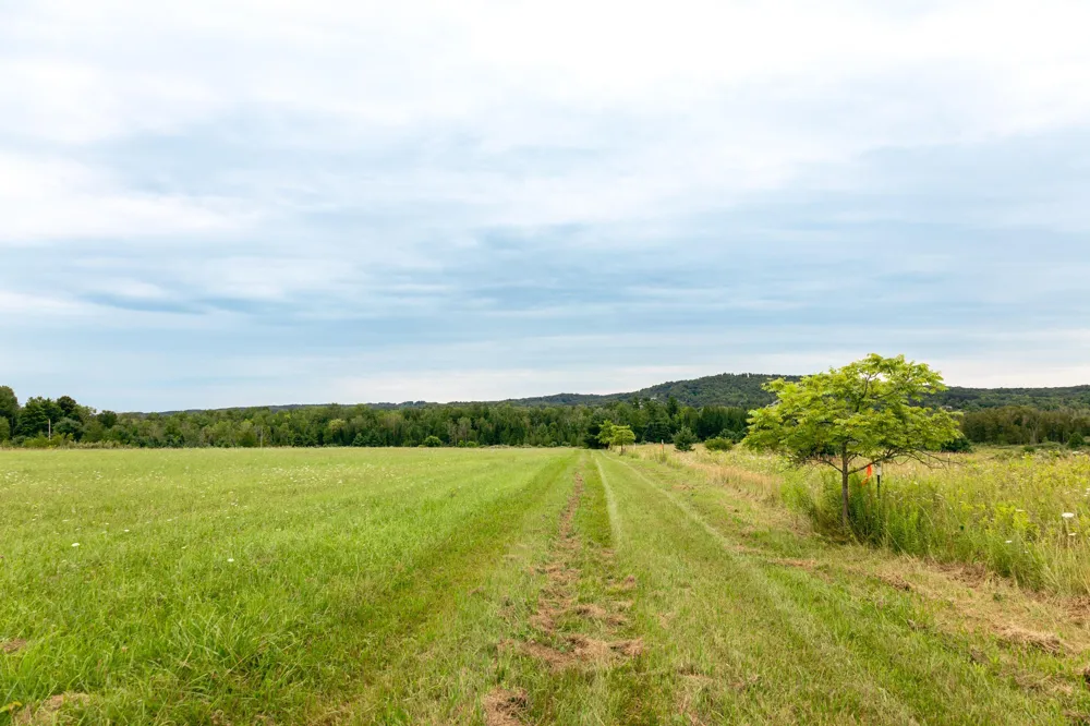 E Birch Point Road Elmwood Charter Township, MI 49684