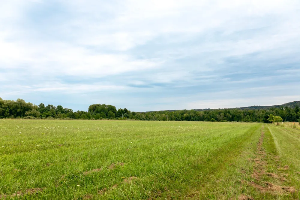 E Birch Point Road Elmwood Charter Township, MI 49684