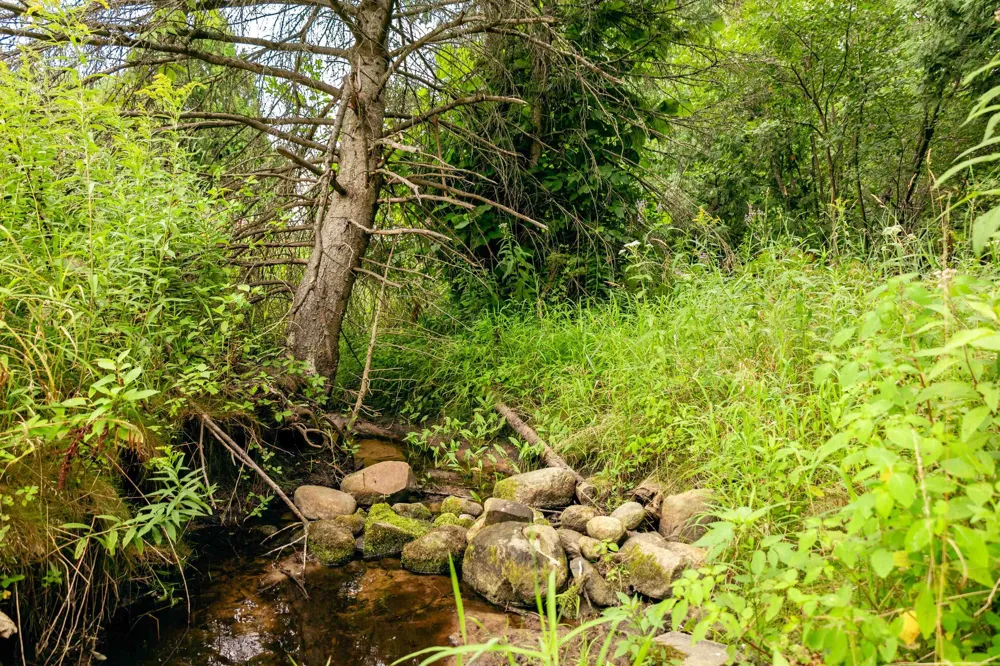 E Birch Point Road Elmwood Charter Township, MI 49684