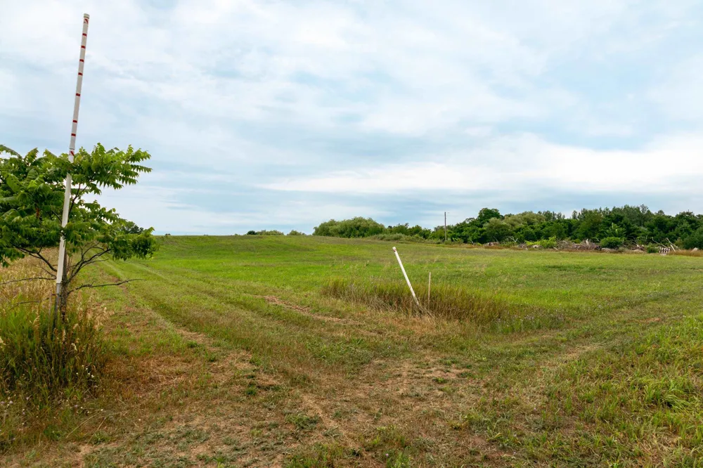 E Birch Point Road Elmwood Charter Township, MI 49684