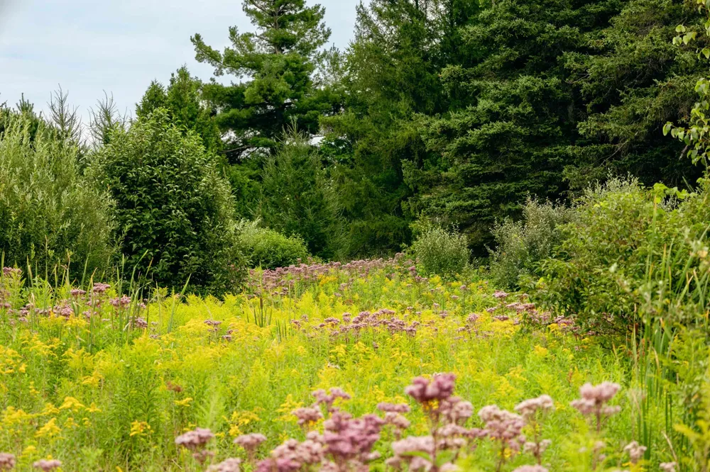E Birch Point Road Elmwood Charter Township, MI 49684