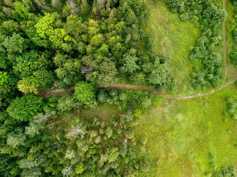 E Birch Point Road Elmwood Charter Township, MI 49684