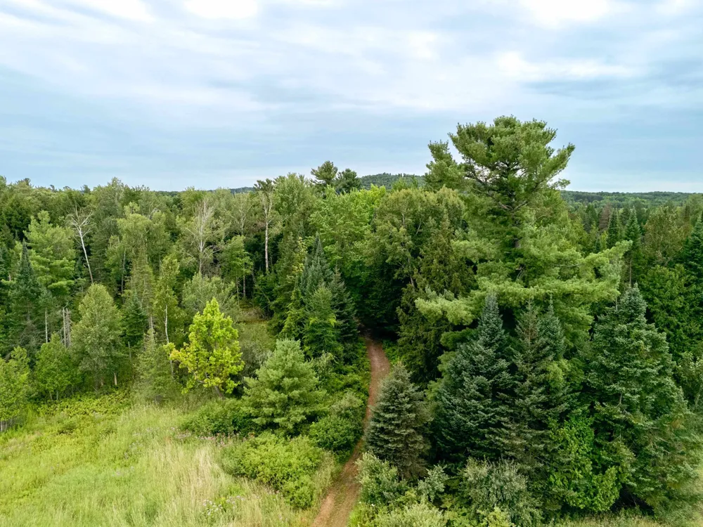 E Birch Point Road Elmwood Charter Township, MI 49684