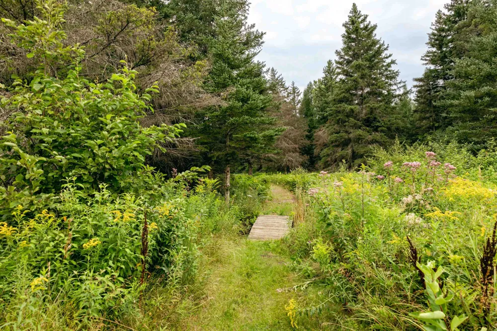 E Birch Point Road Elmwood Charter Township, MI 49684