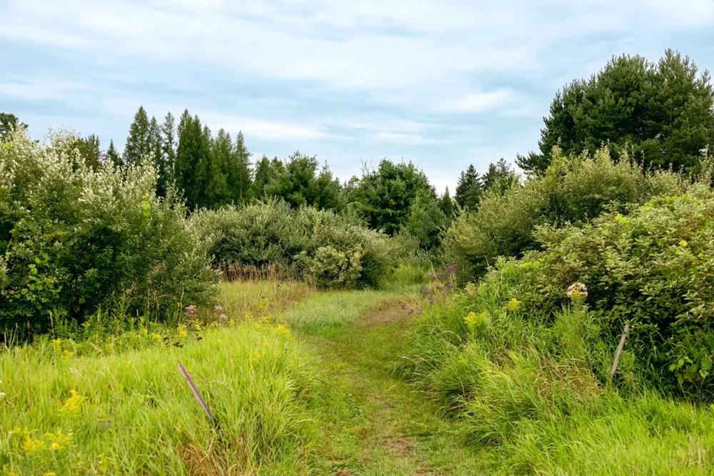 E Birch Point Road Elmwood Charter Township, MI 49684