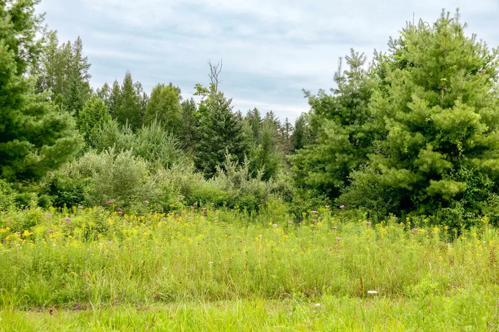 E Birch Point Road Elmwood Charter Township, MI 49684