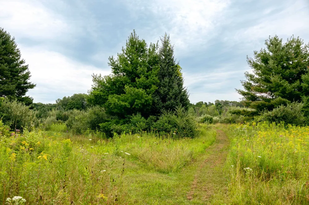 E Birch Point Road Elmwood Charter Township, MI 49684