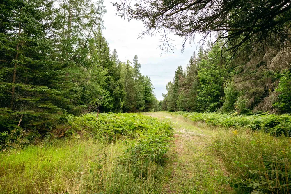 E Birch Point Road Elmwood Charter Township, MI 49684