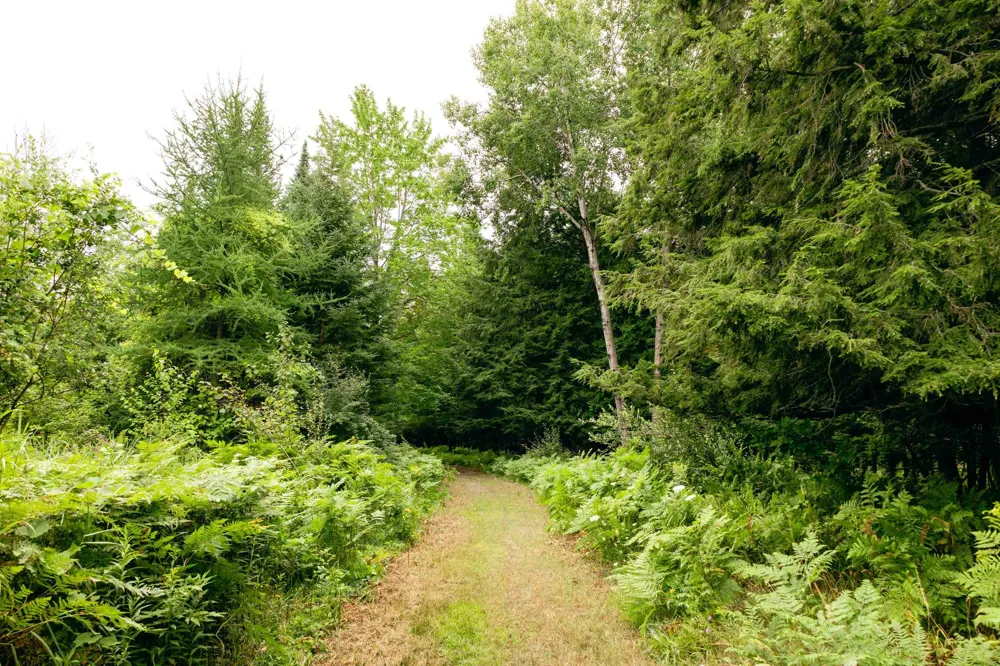 E Birch Point Road Elmwood Charter Township, MI 49684