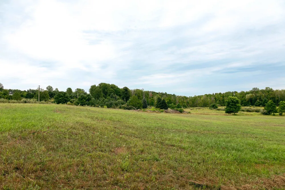 E Birch Point Road Elmwood Charter Township, MI 49684