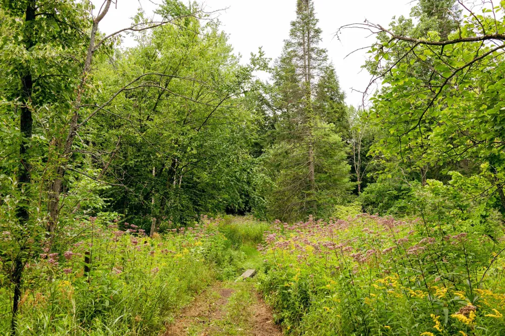 E Birch Point Road Elmwood Charter Township, MI 49684