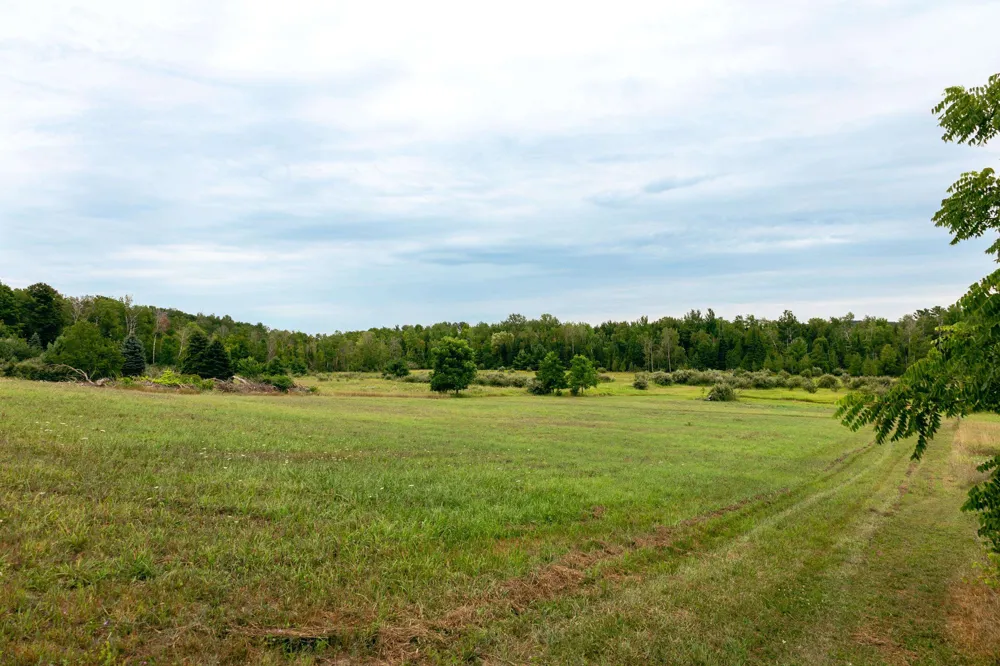 E Birch Point Road Elmwood Charter Township, MI 49684