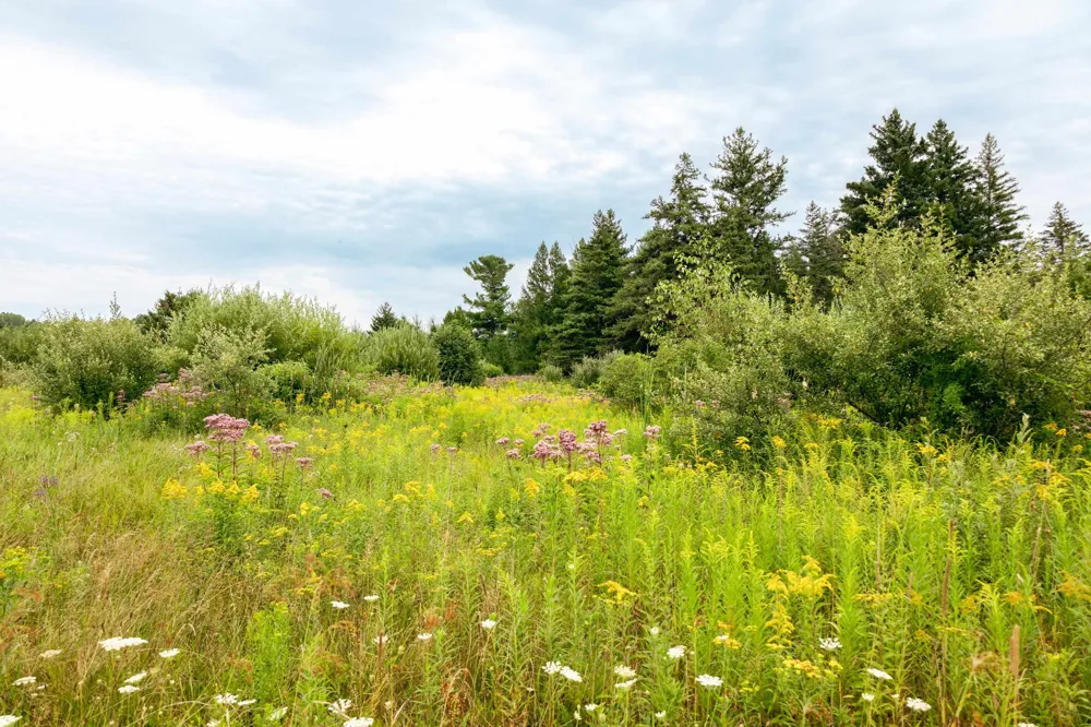 E Birch Point Road Elmwood Charter Township, MI 49684