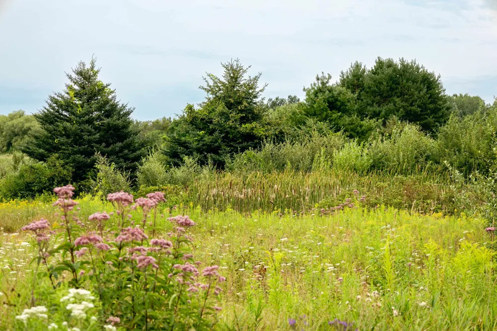 E Birch Point Road Elmwood Charter Township, MI 49684