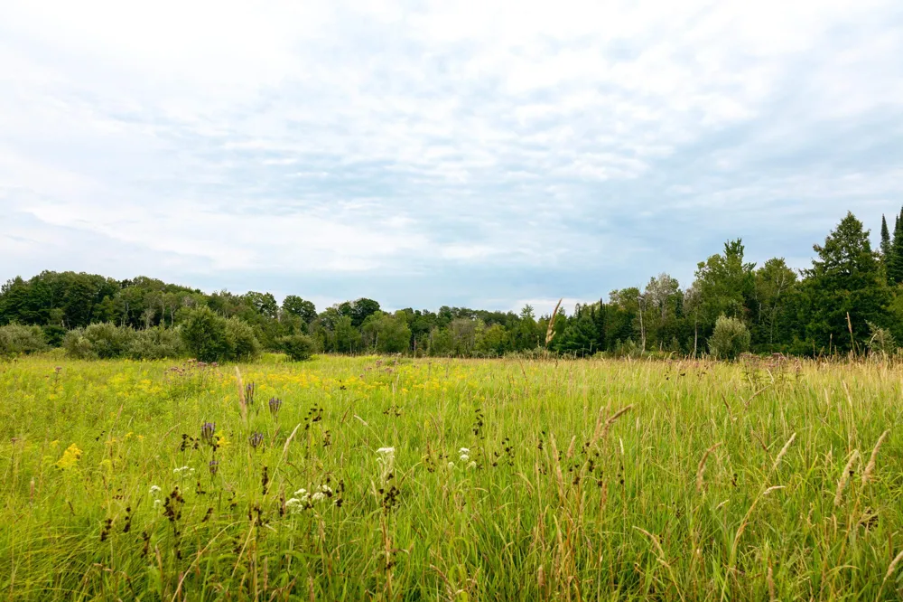 E Birch Point Road Elmwood Charter Township, MI 49684