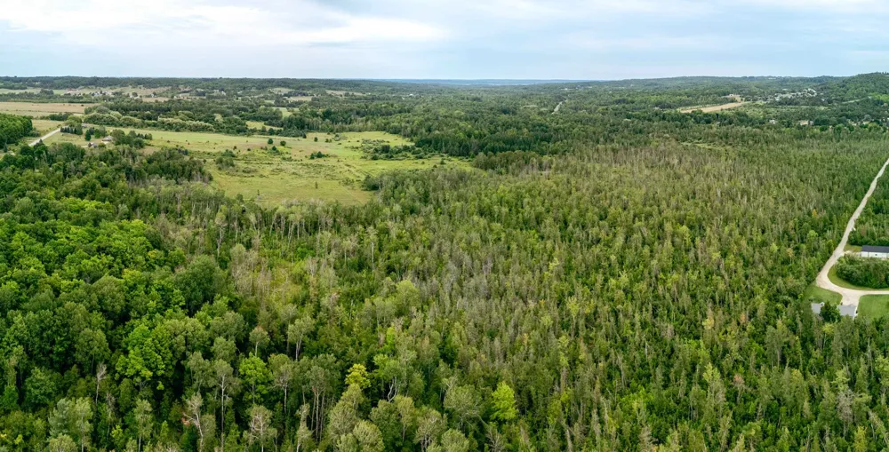 E Birch Point Road Elmwood Charter Township, MI 49684