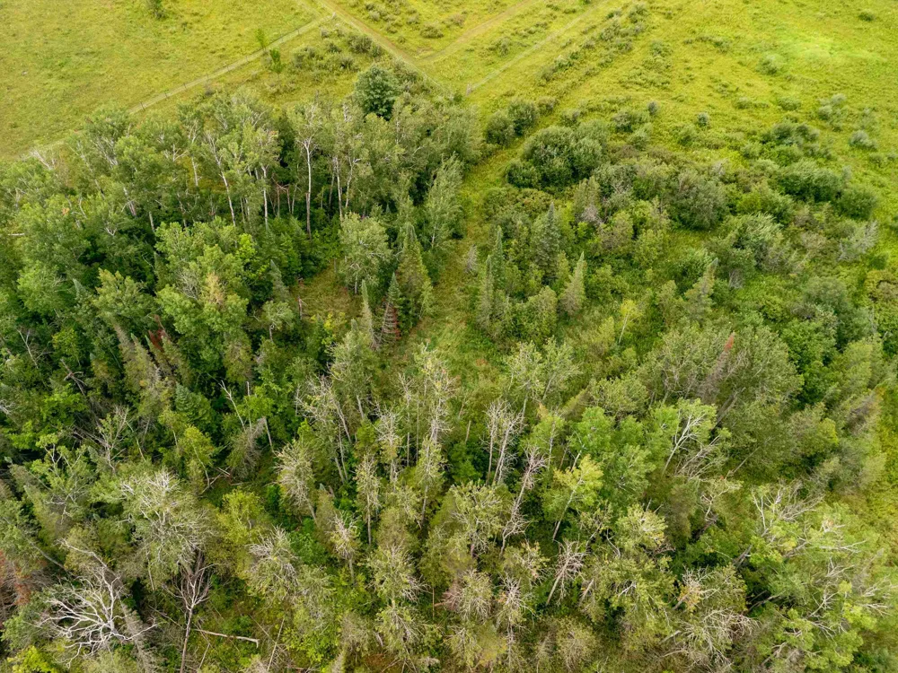 E Birch Point Road Elmwood Charter Township, MI 49684