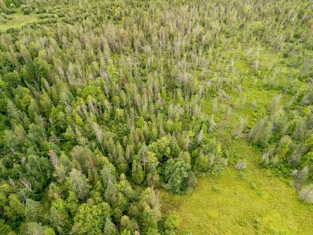 E Birch Point Road Elmwood Charter Township, MI 49684