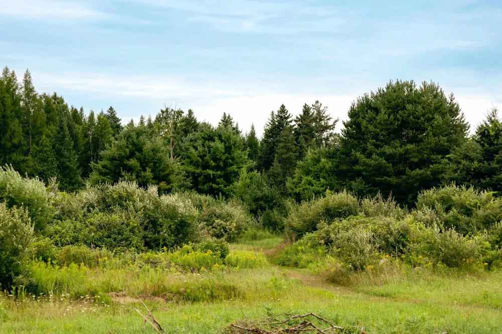 E Birch Point Road Elmwood Charter Township, MI 49684