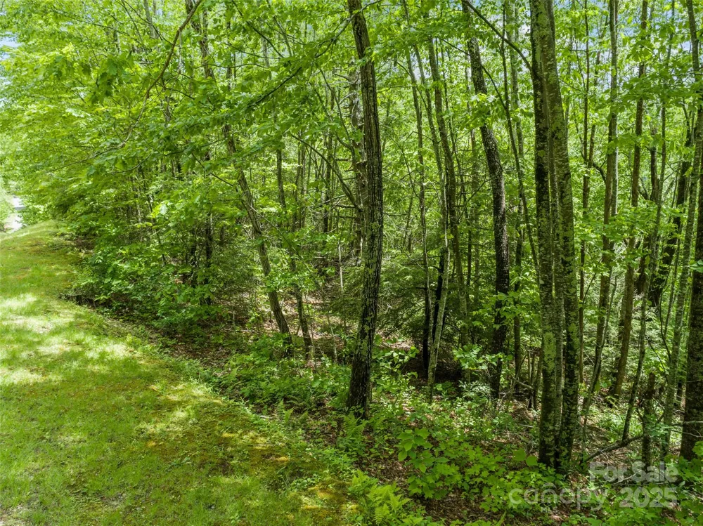 000 Ridge Runner Road #92 Burnsville, NC 28714