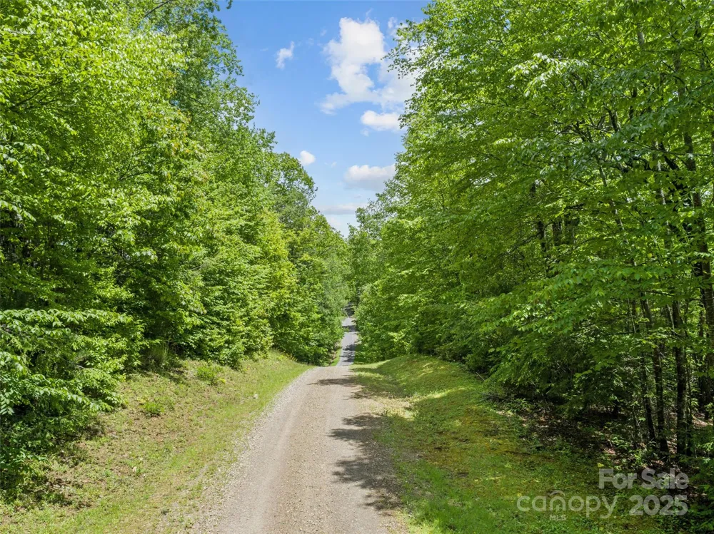 000 Ridge Runner Road #92 Burnsville, NC 28714