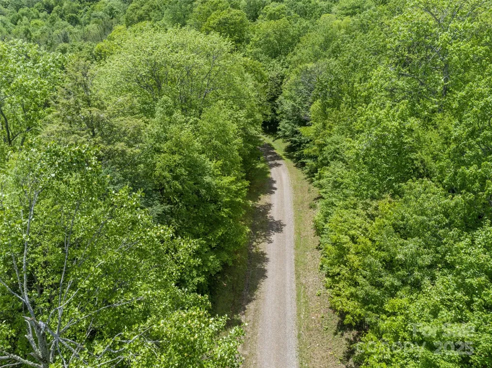 000 Ridge Runner Road #92 Burnsville, NC 28714