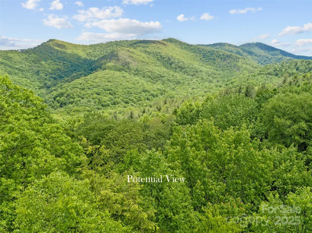 000 Ridge Runner Road #92 Burnsville, NC 28714