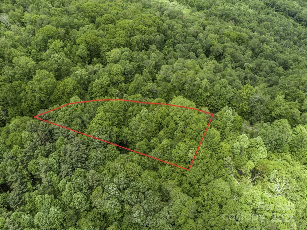 000 Ridge Runner Road #92 Burnsville, NC 28714