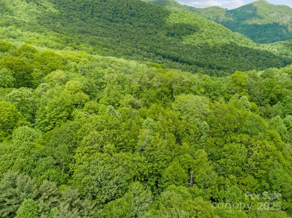 000 Ridge Runner Road #92 Burnsville, NC 28714