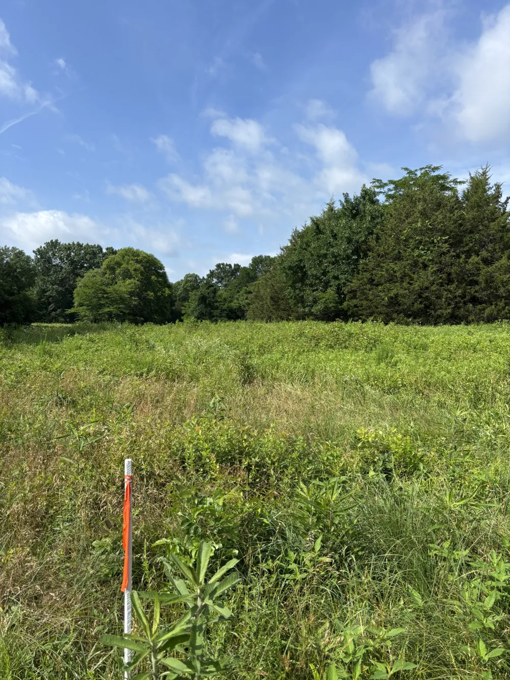 19 Vesta Road Lebanon, TN 37090