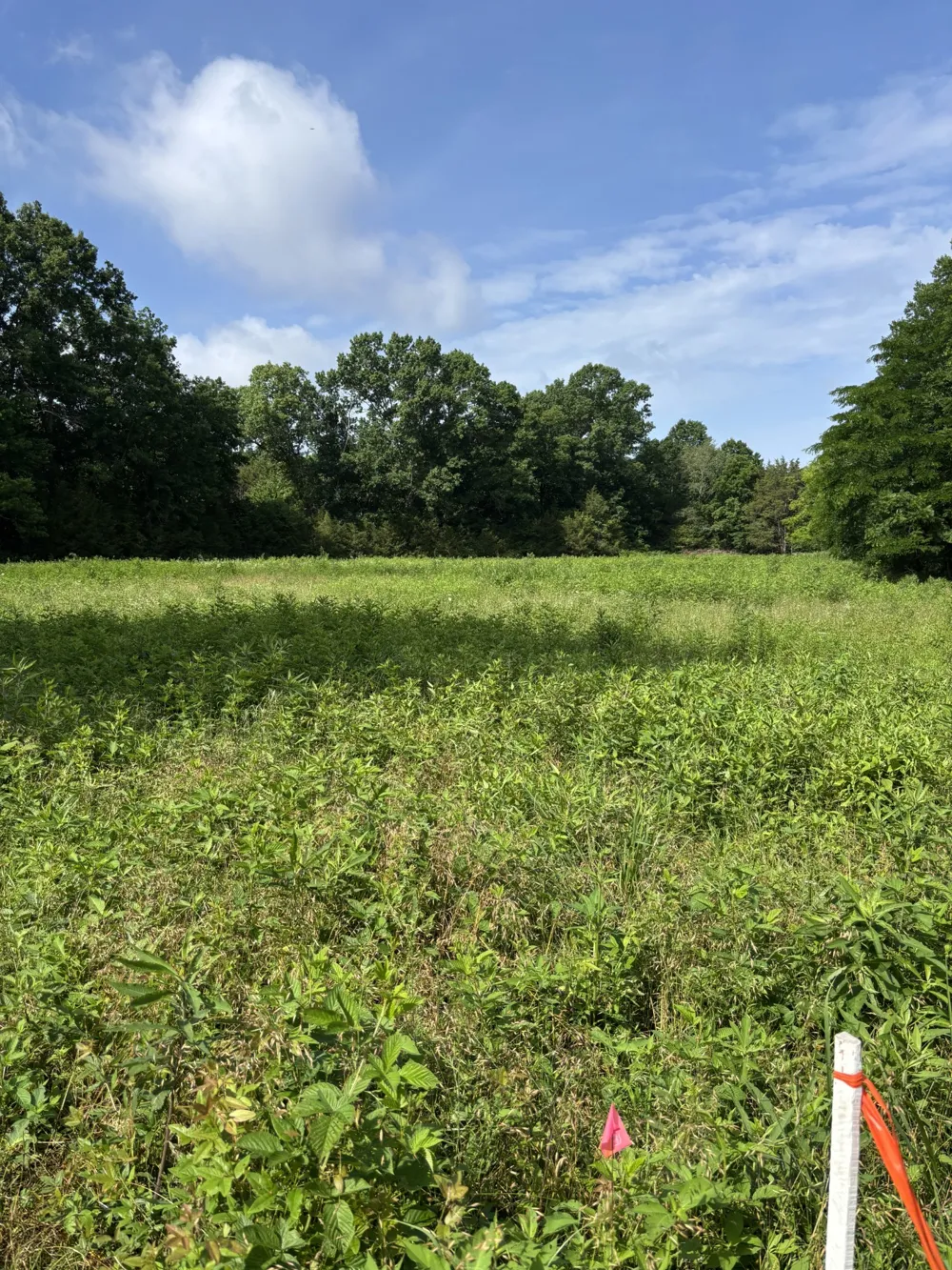 19 Vesta Road Lebanon, TN 37090