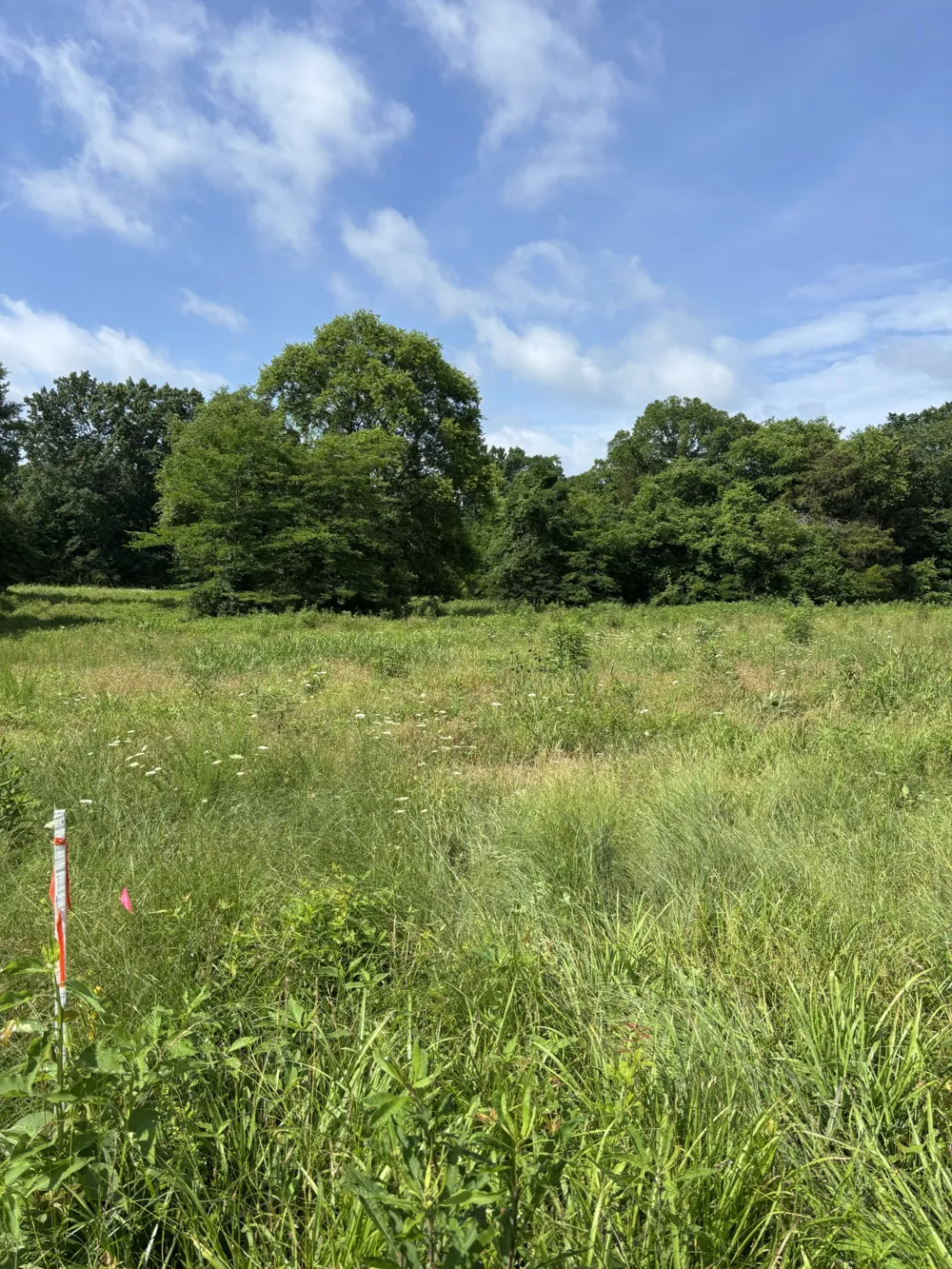 19 Vesta Road Lebanon, TN 37090