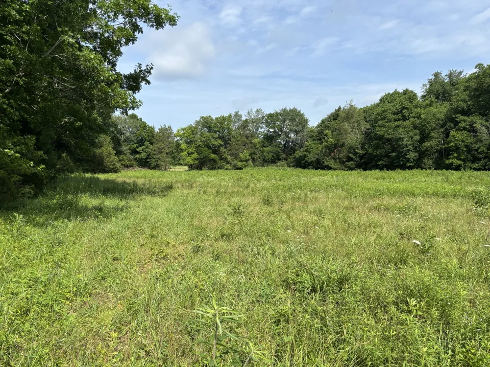 19 Vesta Road Lebanon, TN 37090