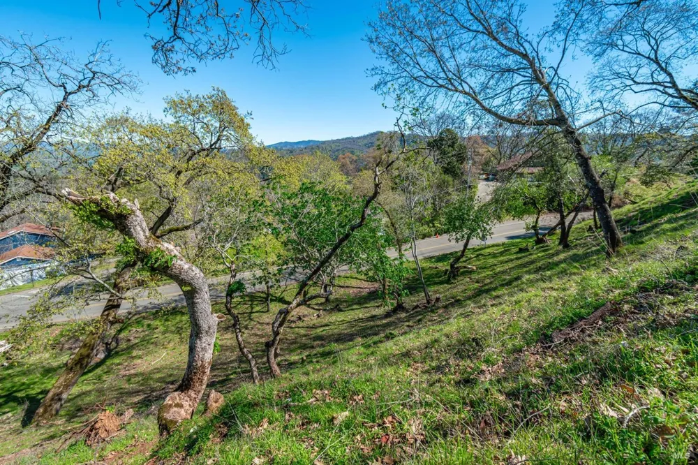 Country Club Lane ##270 Napa, CA 94558