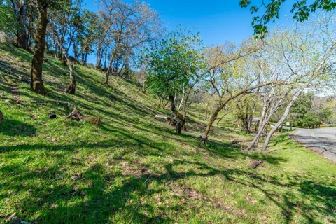 Country Club Lane ##270