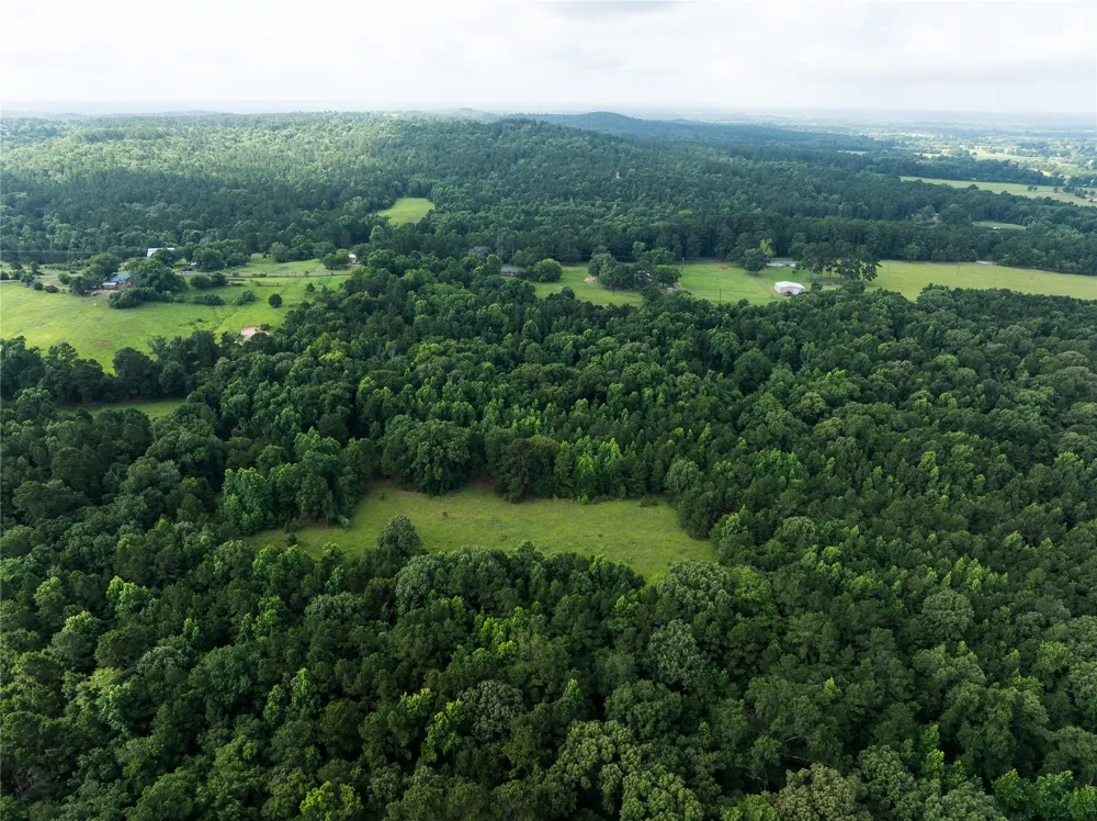 519 An County Road 450 Palestine, TX 75803