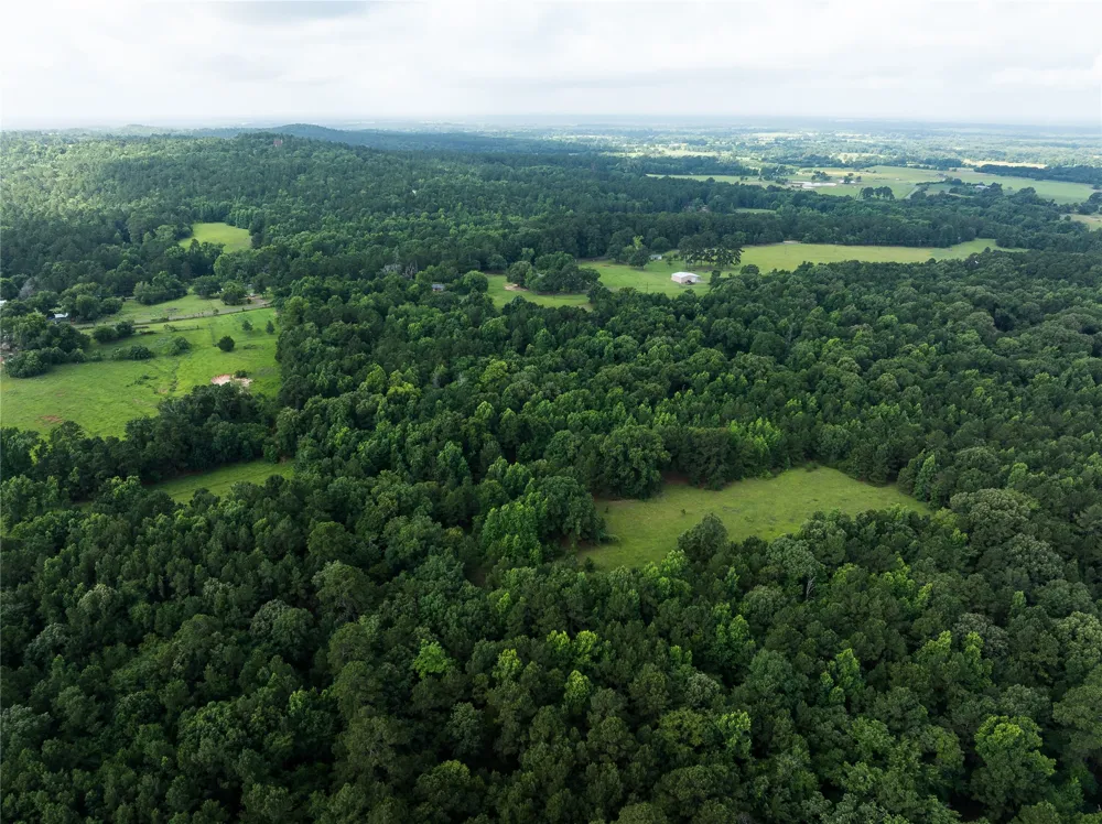 519 An County Road 450 Palestine, TX 75803