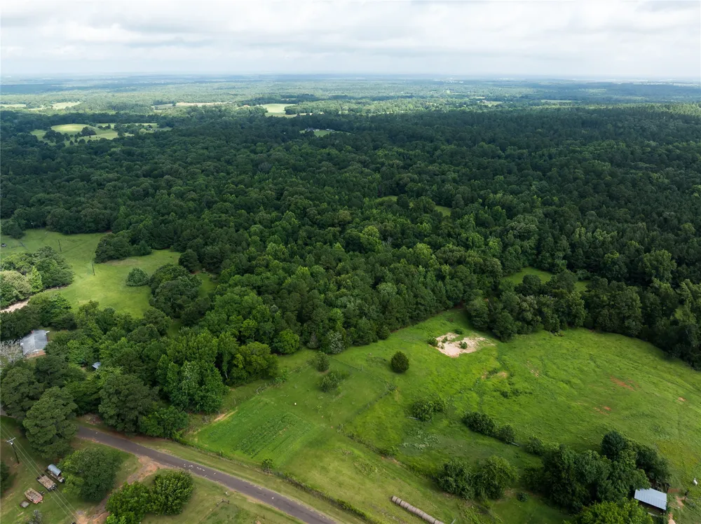 519 An County Road 450 Palestine, TX 75803