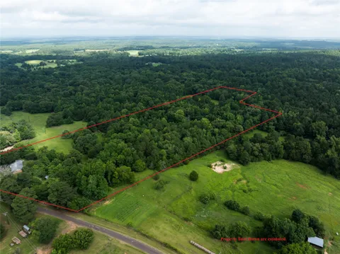 519 An County Road 450