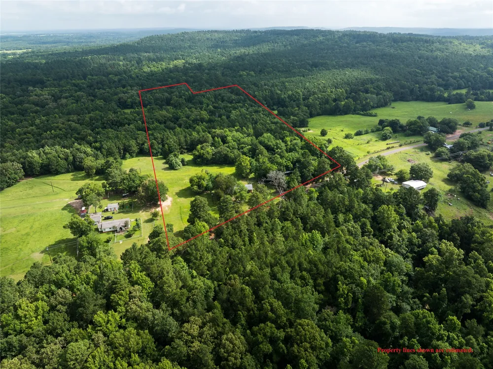 519 An County Road 450 Palestine, TX 75803