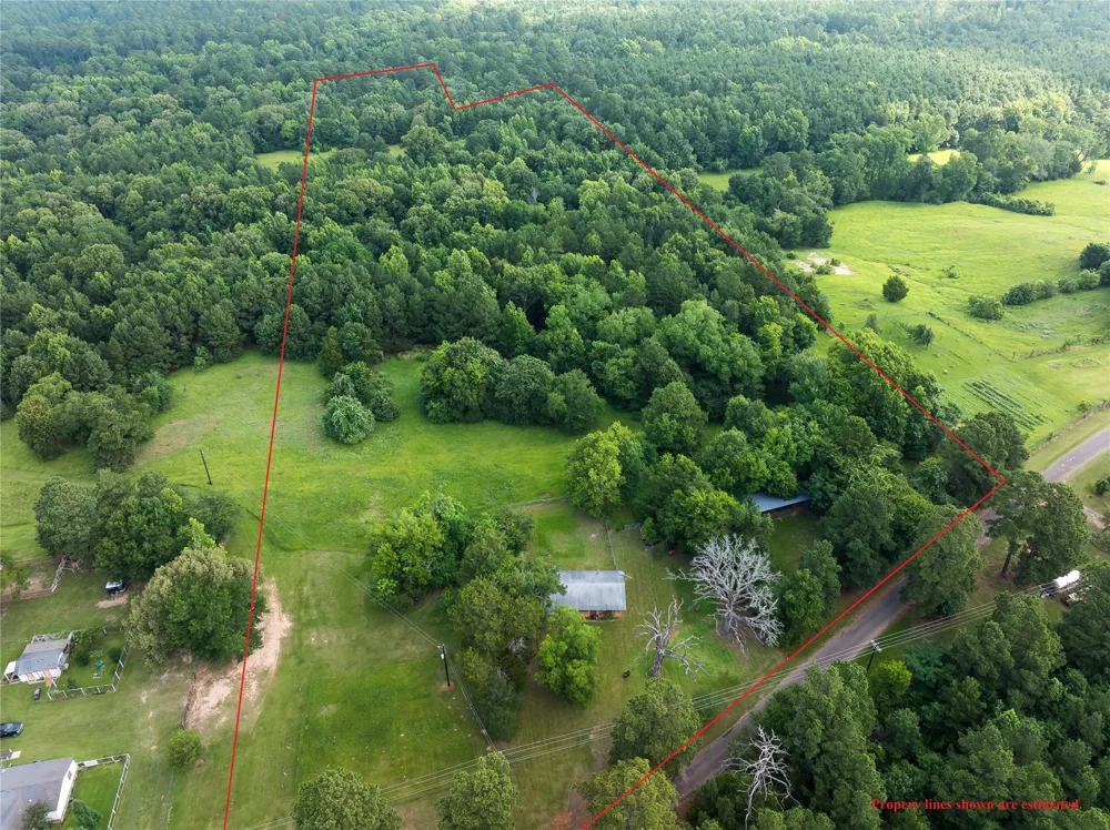 519 An County Road 450 Palestine, TX 75803