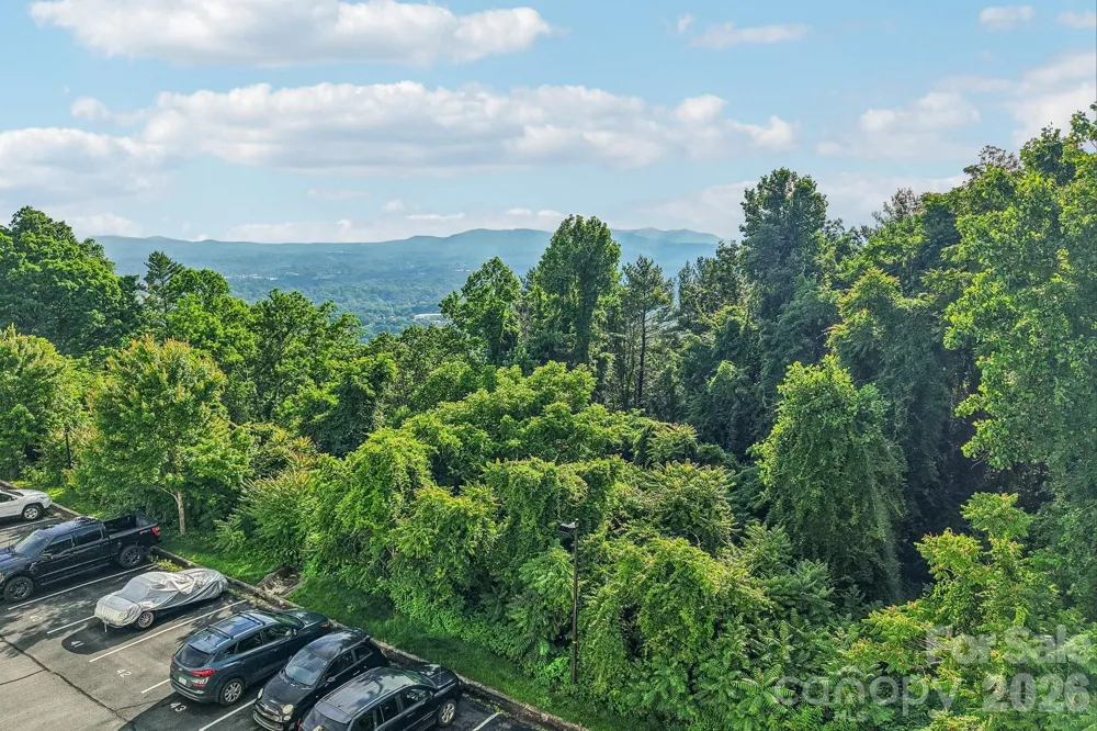 647 Town Mountain Road #212 Asheville, NC 28804