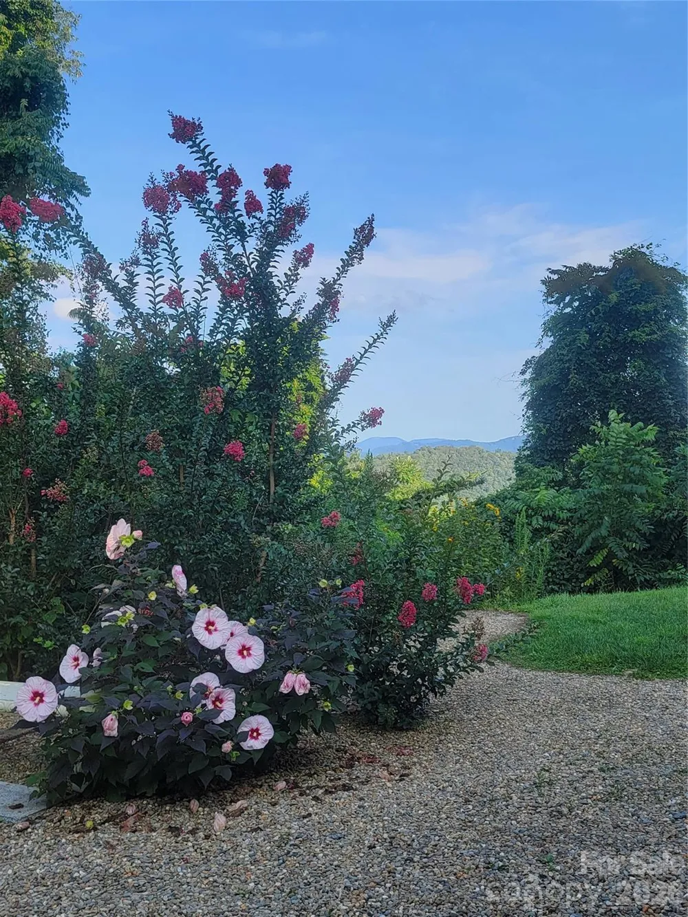 647 Town Mountain Road #212 Asheville, NC 28804