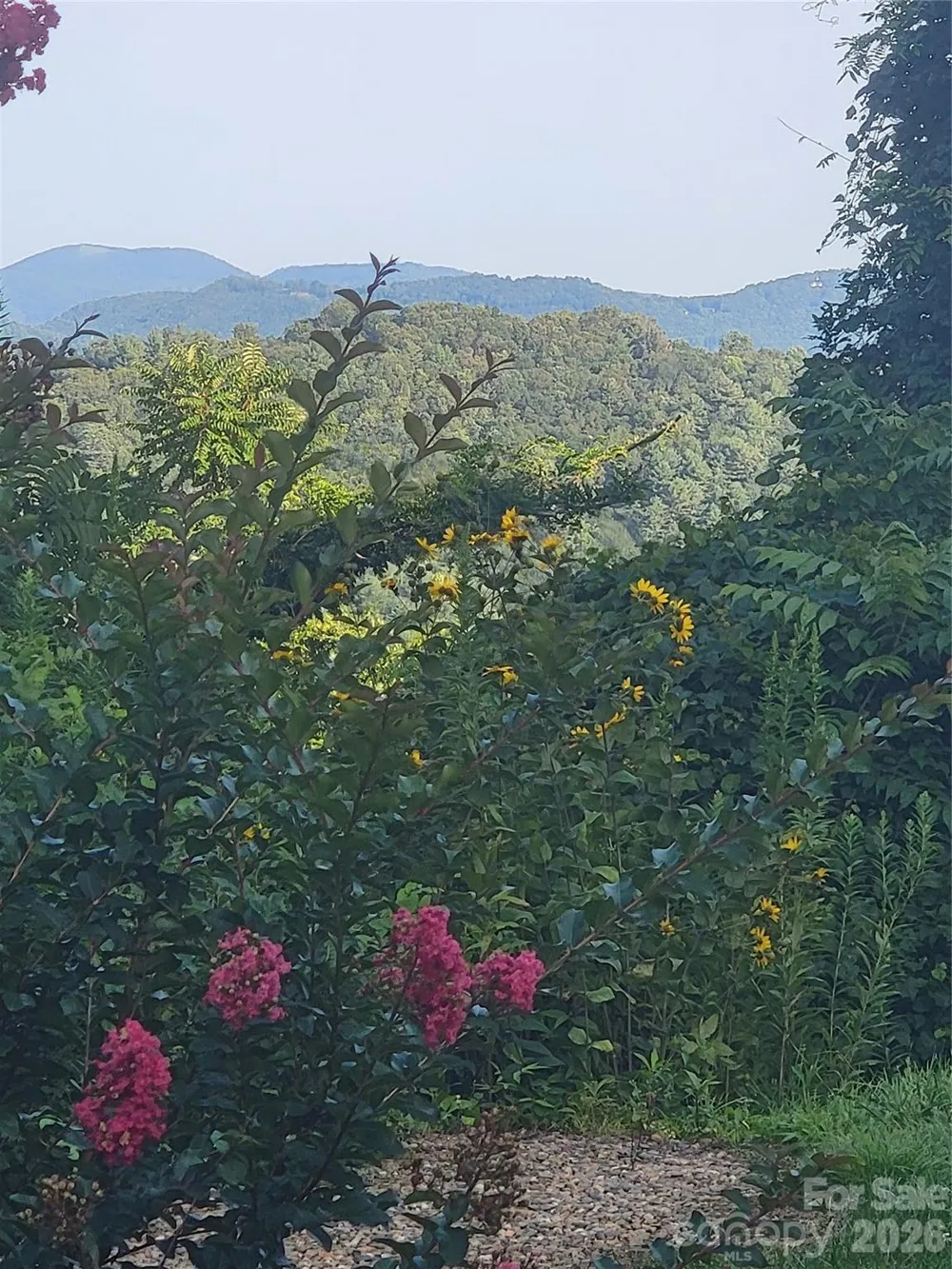 647 Town Mountain Road #212 Asheville, NC 28804