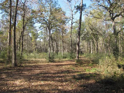 32602 Dogwood Trail